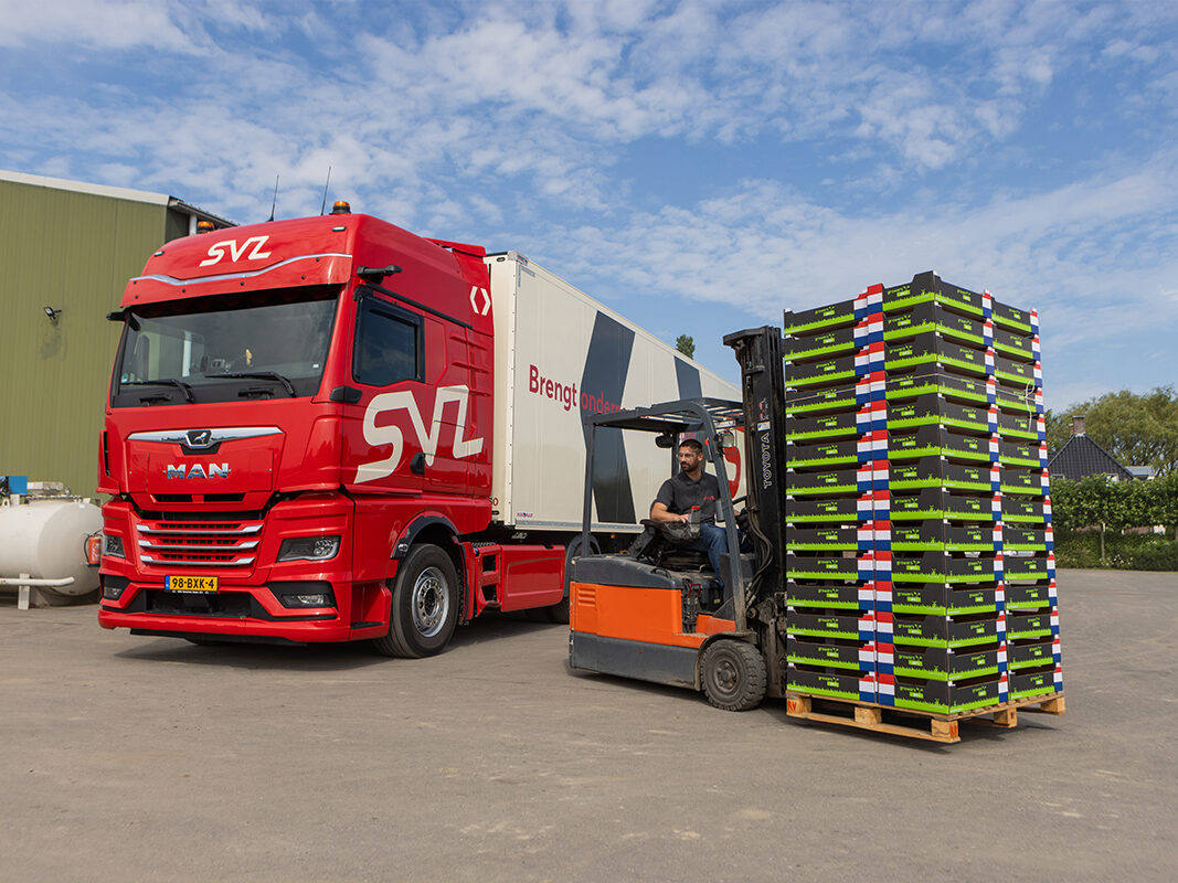SVZ Transport
