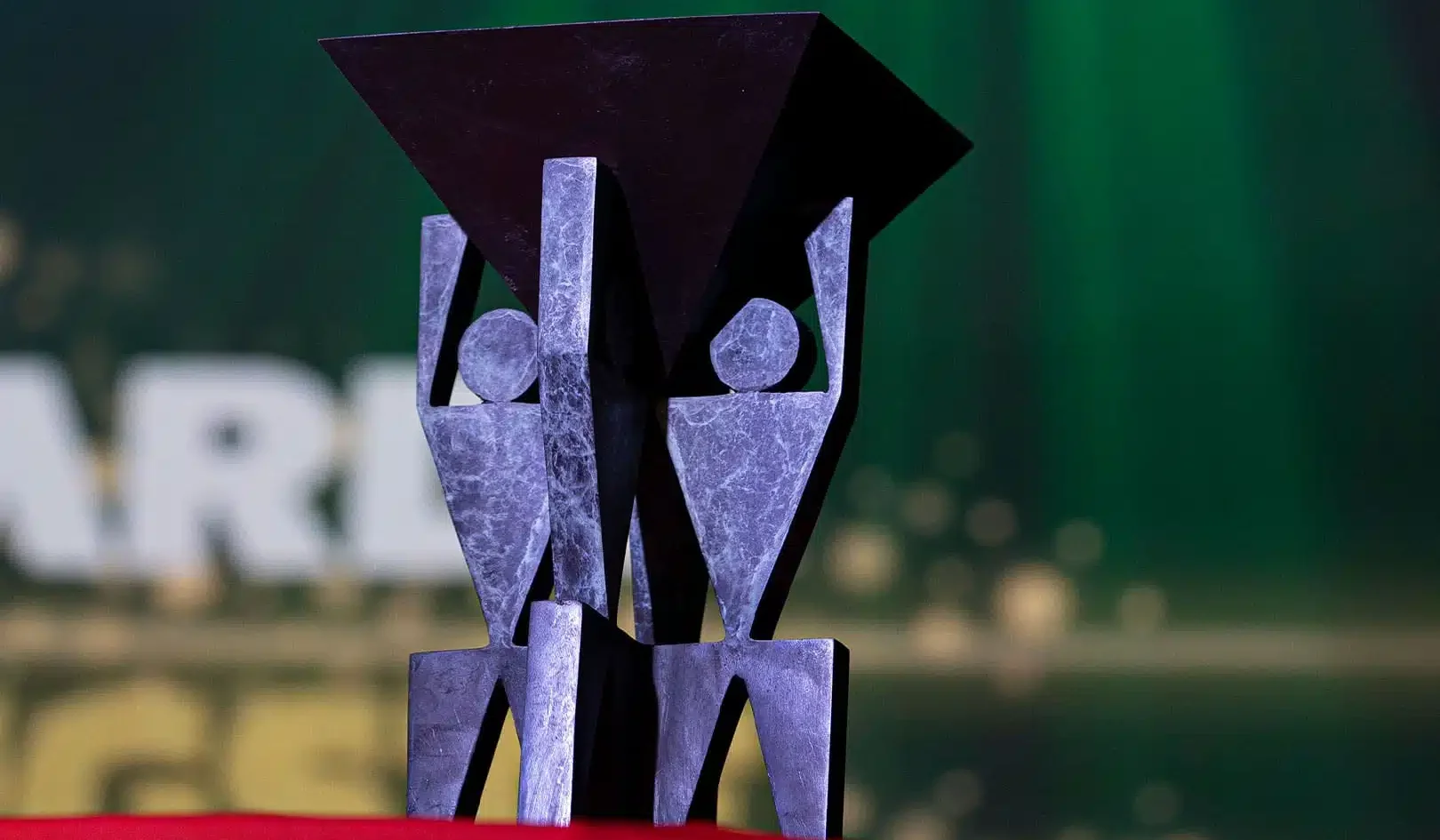 VSDV* wint TVM Award voor Innovatie